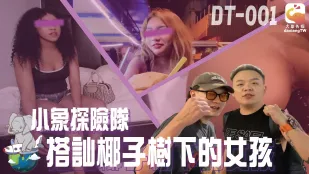 DT-001 小象探险队泰国直直撞开发夜间留恋街头的各国女子