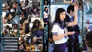 [无码]TEAM-065 绝顶高潮的女子校 辻本杏